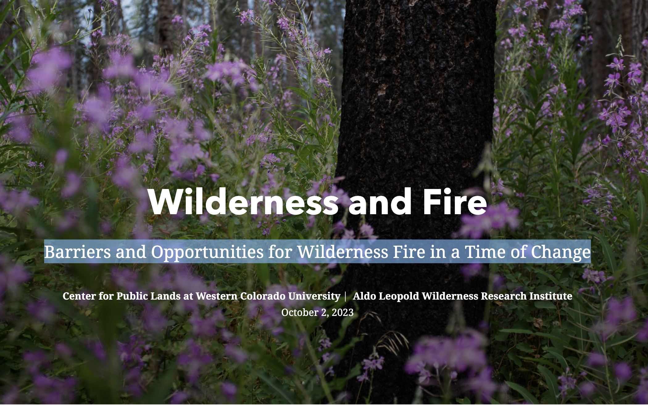 Wilderness and Fire